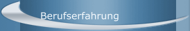 Berufserfahrung