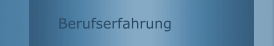 Berufserfahrung